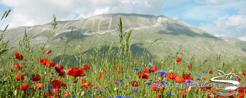 Monti Sibillini - Monte Vettore